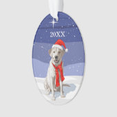 Neige Blanc Labrador Retriever Santa Hat & Scarf (devant)
