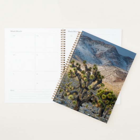 Neige Dans La Vallée De La Mort (Devant avec enveloppe)