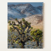 Neige Dans La Vallée De La Mort (Dos)