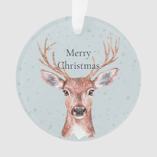 Neige de Noël (devant)