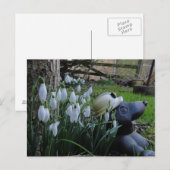 neige et carte postale (Devant / Derrière)