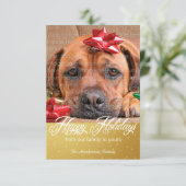 Neige et étincelles Cartes photos de vacances (Debout devant)