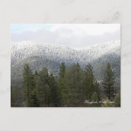 Neige fraîche en poudre.... Carte postale (Devant)