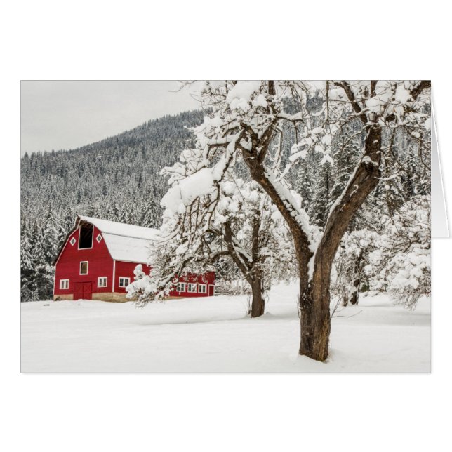 Neige fraîche sur grange rouge (Devant horizontal)