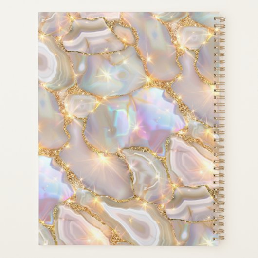 neige or agate holographique nom 2026 (Dos)