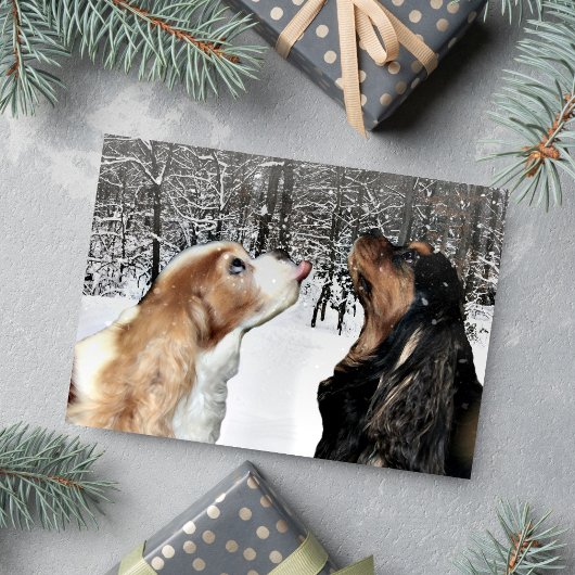 Neige Sur La Carte Spanielle Cavalier King Charles