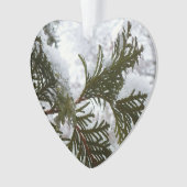 Neige sur les branches À feuillage persistant (devant)