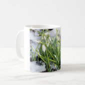 Neiges Dans La Mug De Neige (Devant gauche)