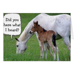 NEIGH, VOUS NE POUVEZ PAS ÊTRE "30" DIT PONY ET CH