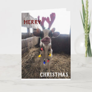 NEIGHBORS WISHED MERRY CHRISTMAS/HAPPY NEW YEAR FEESTDAGEN KAART