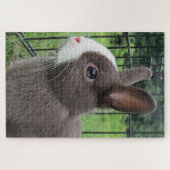 Neitherland Dwarf Pet Bunny Rabbit Jigzaag Puzzle Legpuzzel (Horizontaal)