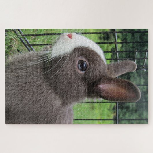 Neitherland Dwarf Pet Bunny Rabbit Jigzaag Puzzle Legpuzzel (Horizontaal)