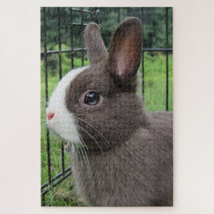 Neitherland Dwarf Pet Bunny Rabbit Jigzaag Puzzle Legpuzzel