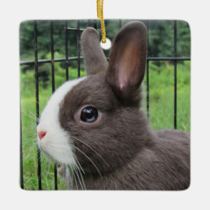 Neitherland Dwarf Pet Bunny Rabbit Keramisch Ornament