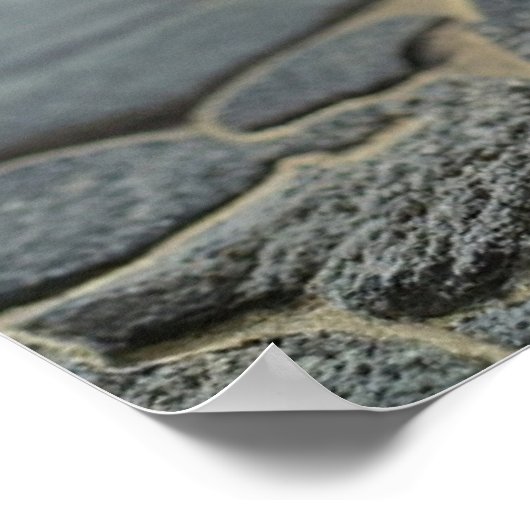 Neko Samurai 194 Poster (Hoek)