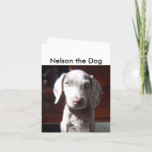 NelsonTheDog Kaart (Achterkant)