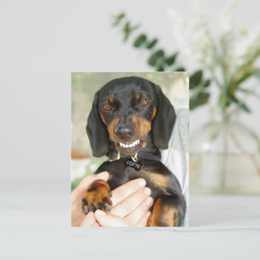 N'embêtez pas avec moi carte postale (Debout devant)