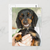 N'embêtez pas avec moi carte postale (Devant / Derrière)