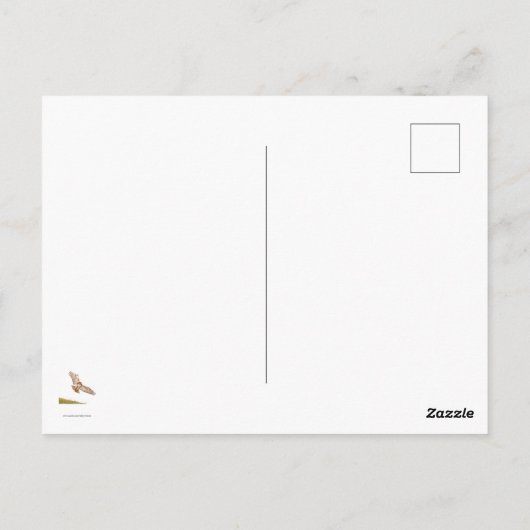 Nemen van AIM roodstaarthavik Briefkaart (Achterkant)