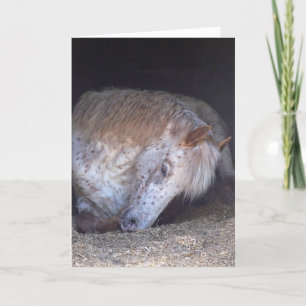 Nemend het gemakkelijke verjaardagskaart kaart