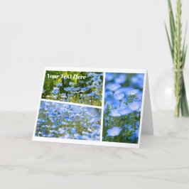 NEMOPHILA（Baby Blue Eyes） Kaart