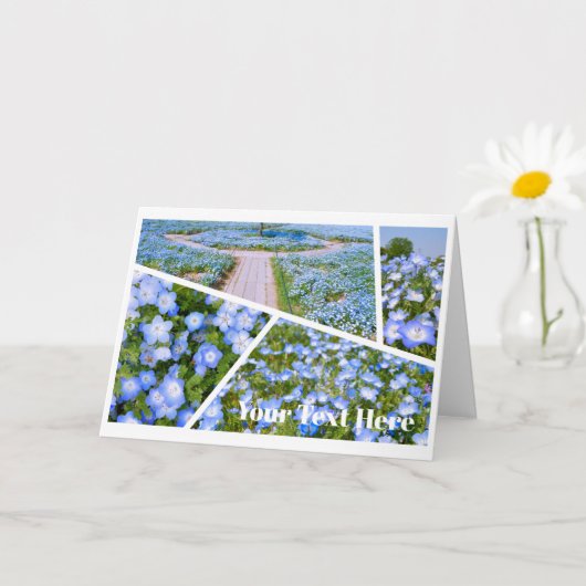 NEMOPHILA（Baby Blue Eyes） Kaart (Kleine Plant)