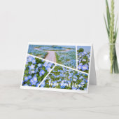 NEMOPHILA（Baby Blue Eyes） Kaart (Voorkant)