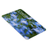NEMOPHILA (Baby Blue Eyes) Magneet (Rechterzijde)