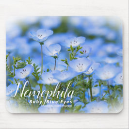 NEMOPHILA（Baby Blue Eyes） Muismat