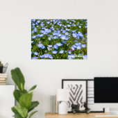 NEMOPHILA（Baby Blue Eyes） Poster (Thuiskantoor)