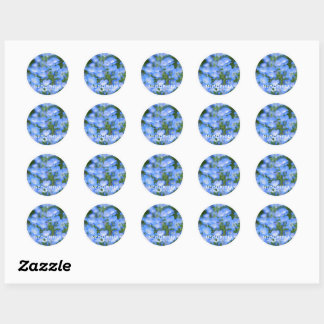 NEMOPHILA(Baby Blue Eyes) Ronde Sticker
