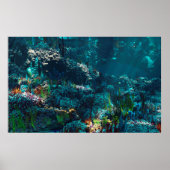 Nemo's tuin poster (Voorkant)