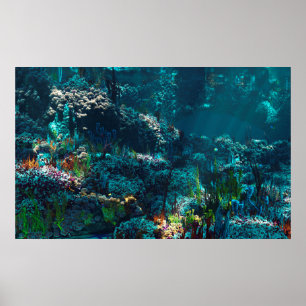 Nemo's tuin poster