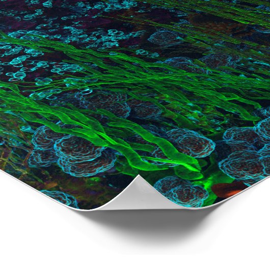 Nemo's tuin poster (Hoek)