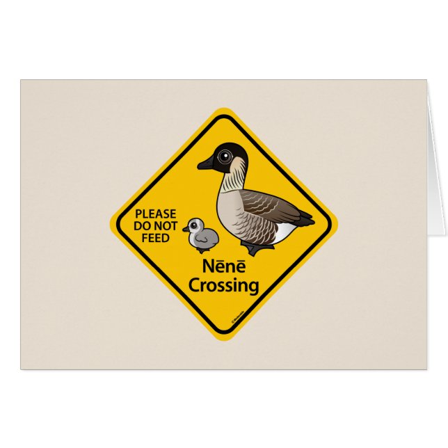 Nene Crossing (Voorkant Horizontaal)