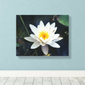 Nénuphar blanc, toile étirée (Insitu (Plancher de Bois))