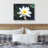 Nénuphar blanc, toile étirée (Insitu(Chambre))