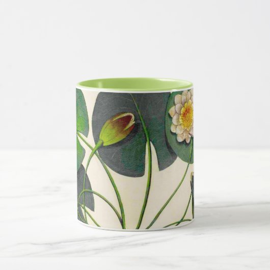 Nénuphar botanique Vintage Mug (Centre)