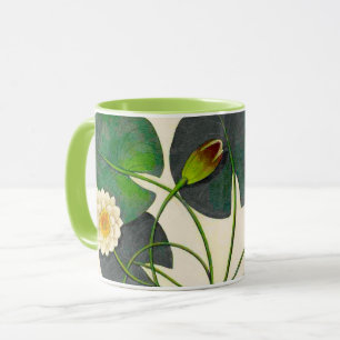Nénuphar botanique Vintage Mug