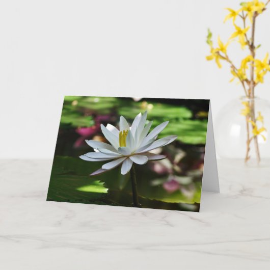 Nénuphar - Carte vierge (Fleur jaune)