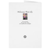 Nénuphar de la Saint-Jean (Dos)