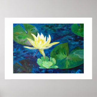 Nénuphar en fleur poster