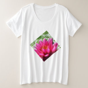 Nénuphar rose