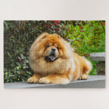 Neo Chow Jigzaag Puzzle