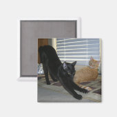 Neo en Isabelle magneet (Voorkant / Achterkant)