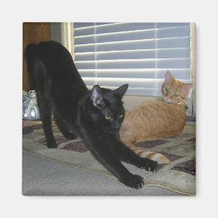 Neo en Isabelle magnet Magneet