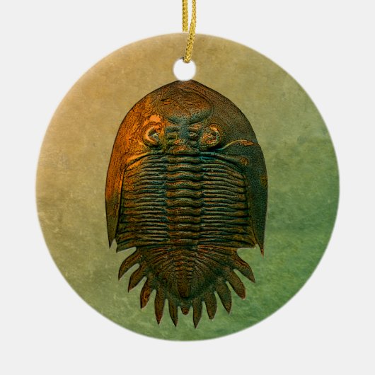 Neometacanthus Fossil Trilobite Keramisch Ornament (Voorkant)