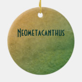 Neometacanthus Fossil Trilobite Keramisch Ornament (Achterkant)