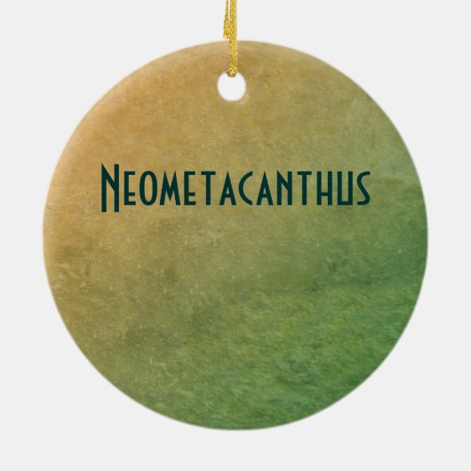 Neometacanthus Fossil Trilobite Keramisch Ornament (Achterkant)