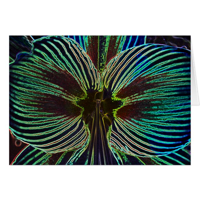 Neon Amaryllis (Devant horizontal)